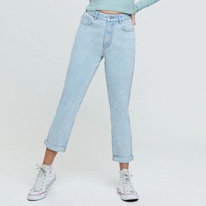 PacSun NWT Size 27 Sun Faded High-Rise Mom Jeans